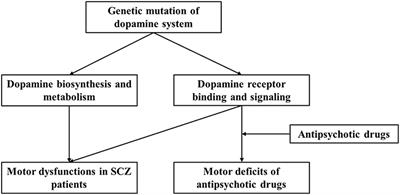 Polymorphisms in Dopaminergic Genes in Schizophrenia and Their Implications in Motor Deficits and Antipsychotic Treatment